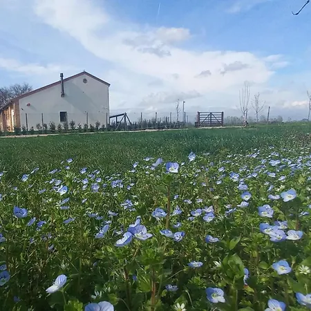 b&b Agriturismo San Matteo-3